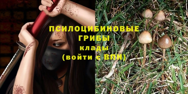 дмт Балабаново